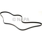 Serpentine Belt