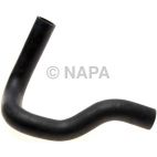 Radiator Coolant Hose