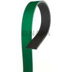 Serpentine Belt