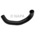 Radiator Coolant Hose