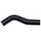 Radiator Coolant Hose