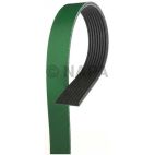 Serpentine Belt