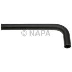 Radiator Coolant Hose