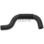 Radiator Coolant Hose