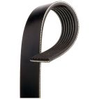 Serpentine Belt