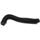 Radiator Coolant Hose