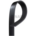 Accessory Drive Belt