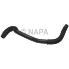 Radiator Coolant Hose