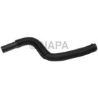 Radiator Coolant Hose
