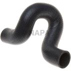 Radiator Coolant Hose