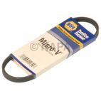 Accessory Drive Belt