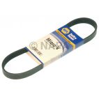 Serpentine Belt