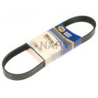 Serpentine Belt