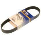 Accessory Drive Belt