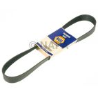 Accessory Drive Belt