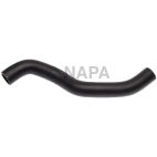Radiator Coolant Hose