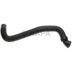 Radiator Coolant Hose