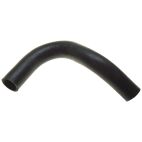 Radiator Coolant Hose