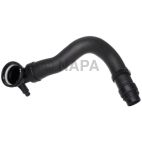 Radiator Coolant Hose