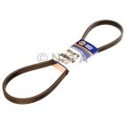 Serpentine Belt