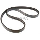 Accessory Drive Belt