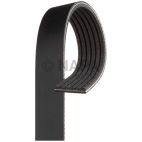 Serpentine Belt
