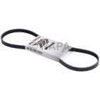 Serpentine Belt