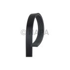 Serpentine Belt