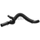 Radiator Coolant Hose