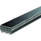Serpentine Belt