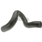 Radiator Coolant Hose
