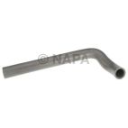 Radiator Coolant Hose