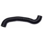 Radiator Coolant Hose