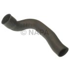 Radiator Coolant Hose