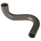Radiator Coolant Hose