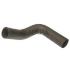 Radiator Coolant Hose