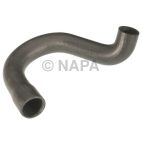 Radiator Coolant Hose
