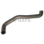 Radiator Coolant Hose