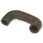 Engine Coolant Bypass Hose