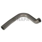Radiator Coolant Hose