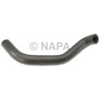 Radiator Coolant Hose