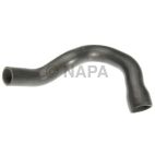 Radiator Coolant Hose