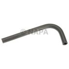 Radiator Coolant Hose