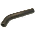 Radiator Coolant Hose