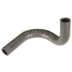 Radiator Coolant Hose