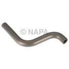 Radiator Coolant Hose