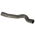 Radiator Coolant Hose