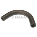 Radiator Coolant Hose