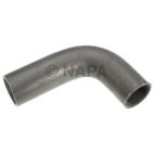 Radiator Coolant Hose