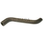 Radiator Coolant Hose